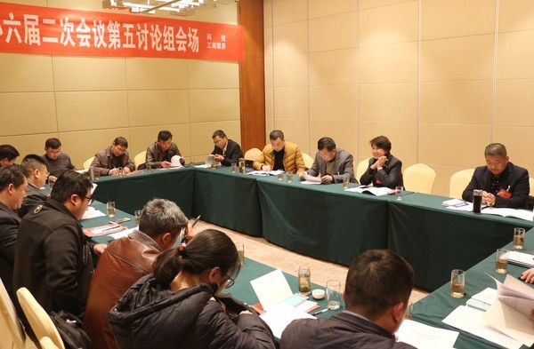 区政协六届二次会议举行第一次分组讨论5.jpg
