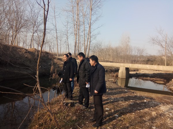 陈东风赴珠龙镇开展河长巡河工作.jpg
