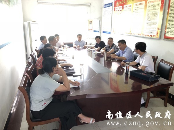 区政协民主监督小组赴腰铺镇朱岗村开展民主监督工作.jpg