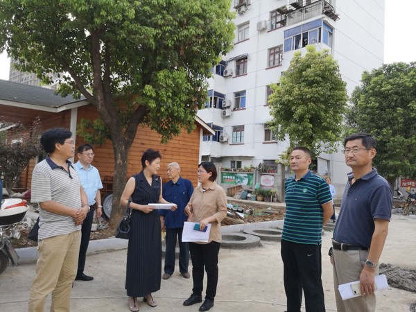 张青督办提案2019.jpg