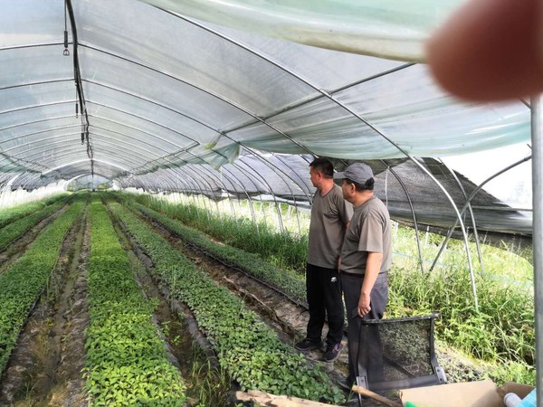 张道春深入章广指导特色农业.jpg