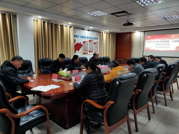 李道忠深入大柳珠龙镇开展委员约谈活动.jpg