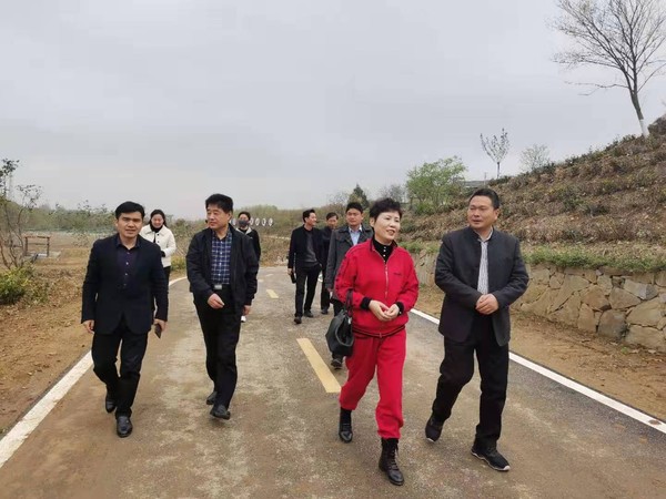区政协教科卫体委开展一季度专委会活动图片.jpg