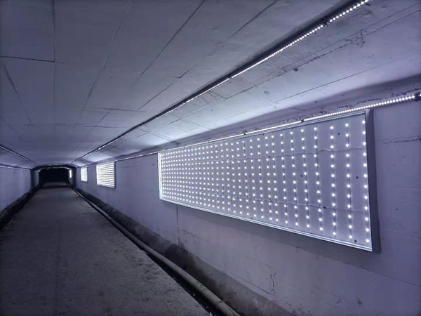 3.整治后的南桥洞3.7(1).jpg