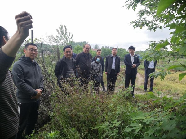 区政协开展文物保护利用专题视察调研活动图片2.jpg
