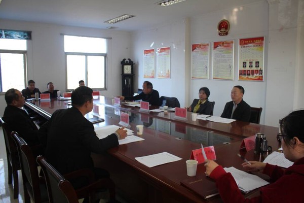 罗丽娅到黄泥岗镇指导专题协商会（徐友虎）.jpg